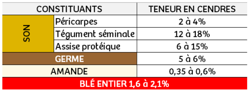 composition d'une graine de blé